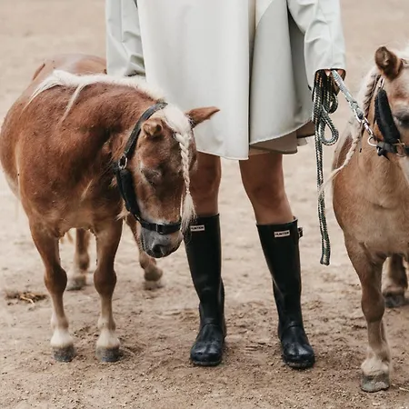 فندق Muhr Pöllauberg