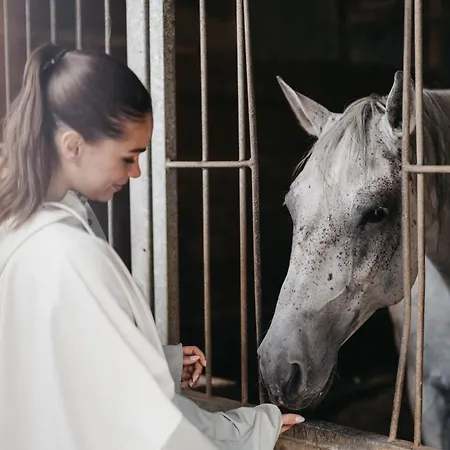 فندق Muhr Pöllauberg