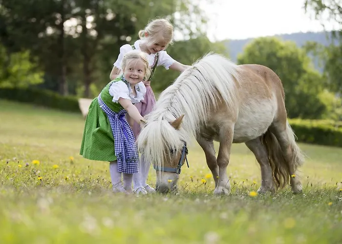 Hotel-restaurant Waldhof Muhr 4*