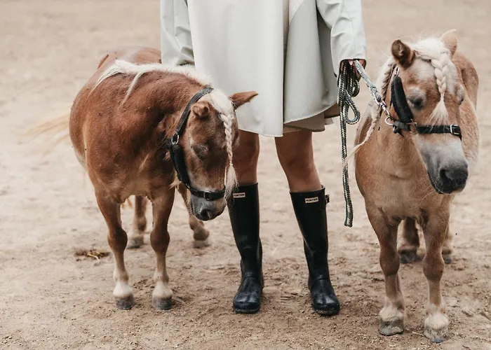 Hotell Muhr Pöllauberg