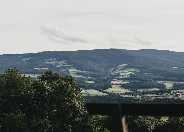 Hotel-restaurant Waldhof Muhr 4*