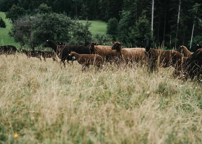 Hotel-restaurant Waldhof Muhr Hotel Pöllauberg