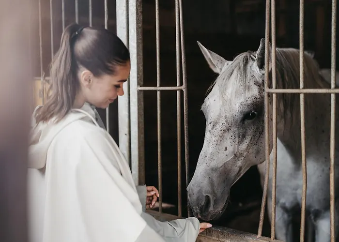 Hotel Hotel-restaurant Waldhof Muhr Pöllauberg