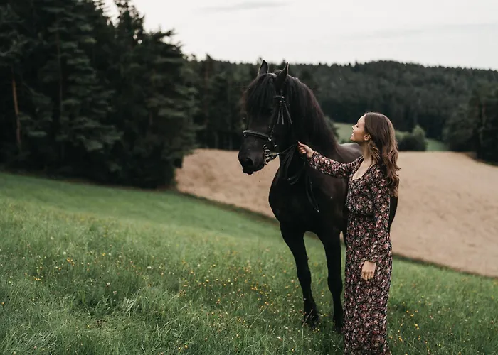 Hotel-restaurant Waldhof Muhr Hotel