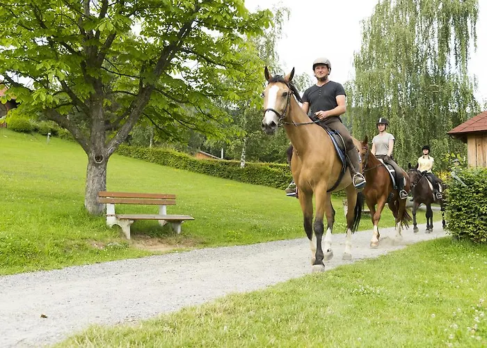 Hotel Hotel-restaurant Waldhof Muhr 4*