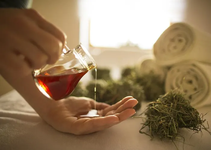 Hotel-restaurant Waldhof Muhr Pöllauberg